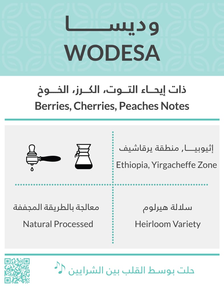 Kiffa - Wodesa Ethiopia /ESP + V60